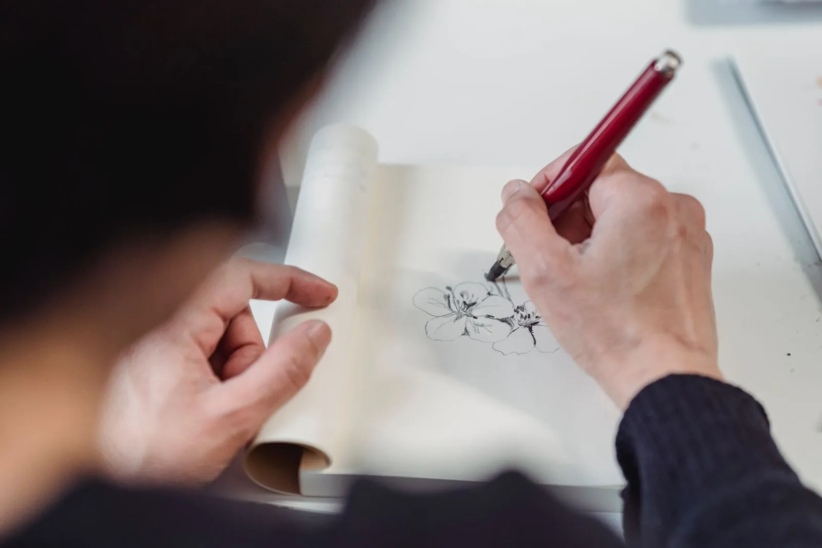 How to Commission a Botanical Illustration